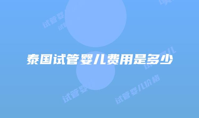 泰国试管婴儿费用是多少