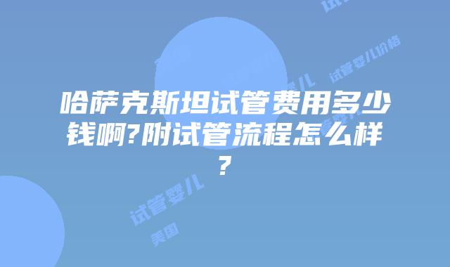 哈萨克斯坦试管费用多少钱啊?附试管流程怎么样?