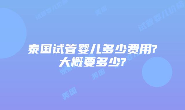 泰国试管婴儿多少费用?大概要多少?