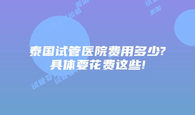 泰国试管医院费用多少?具体要花费这些!