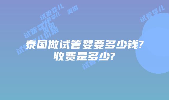 泰国做试管婴要多少钱?收费是多少?