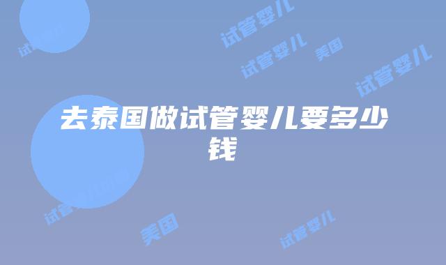 去泰国做试管婴儿要多少钱