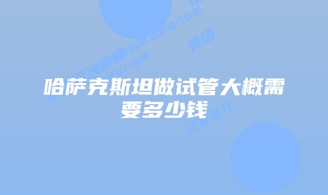 哈萨克斯坦做试管大概需要多少钱