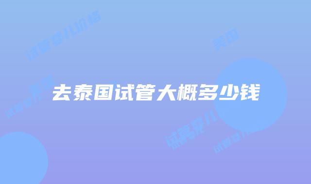 去泰国试管大概多少钱