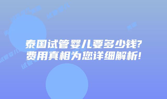 泰国试管婴儿要多少钱?费用真相为您详细解析!
