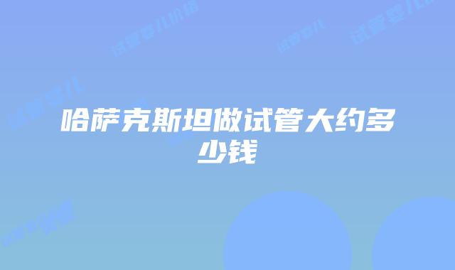 哈萨克斯坦做试管大约多少钱
