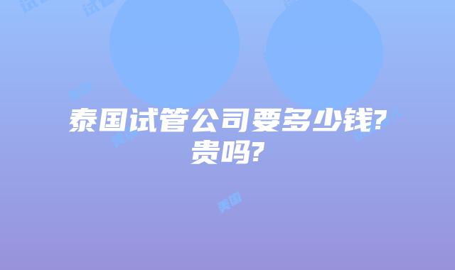 泰国试管公司要多少钱?贵吗?