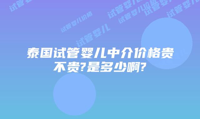 泰国试管婴儿中介价格贵不贵?是多少啊?