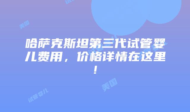 哈萨克斯坦第三代试管婴儿费用,价格详情在这里!