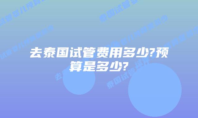 去泰国试管费用多少?预算是多少?