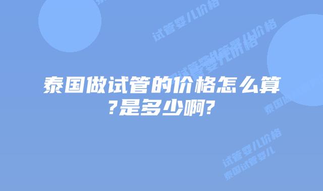 泰国做试管的价格怎么算?是多少啊?