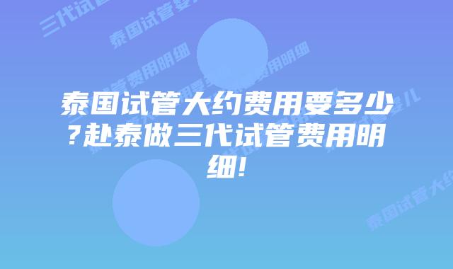 泰国试管大约费用要多少?赴泰做三代试管费用明细!
