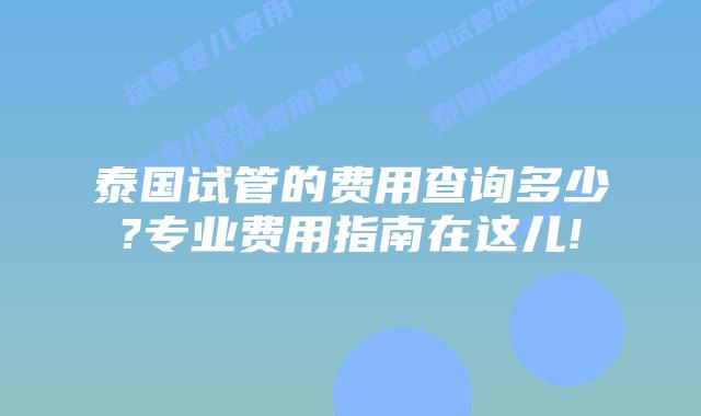 泰国试管的费用查询多少?专业费用指南在这儿!