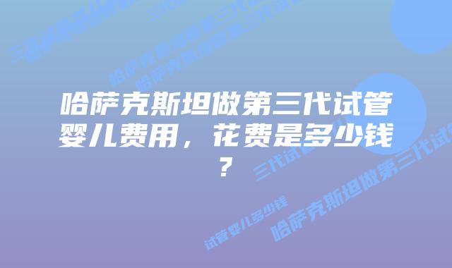 哈萨克斯坦做第三代试管婴儿费用，花费是多少钱?