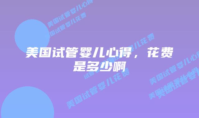 美国试管婴儿心得，花费是多少啊