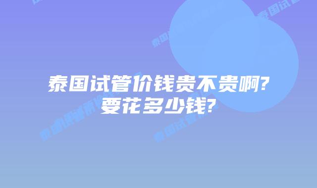 泰国试管价钱贵不贵啊?要花多少钱?