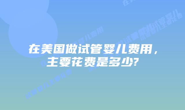在美国做试管婴儿费用，主要花费是多少?