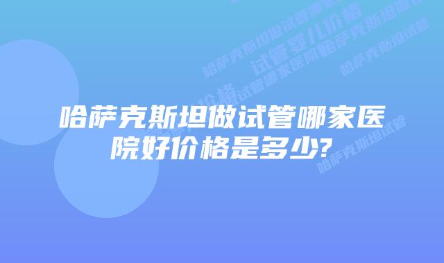 哈萨克斯坦做试管哪家医院好价格是多少?