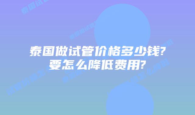 泰国做试管价格多少钱?要怎么降低费用?