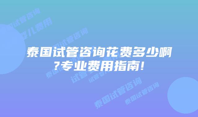 泰国试管咨询花费多少啊?专业费用指南!
