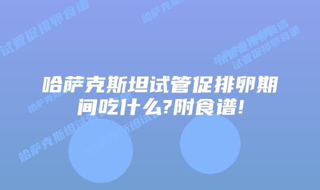 哈萨克斯坦试管促排卵期间吃什么?附食谱!