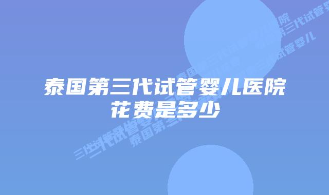 泰国第三代试管婴儿医院花费是多少