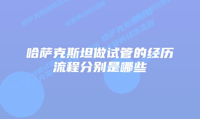 哈萨克斯坦做试管的经历流程分别是哪些