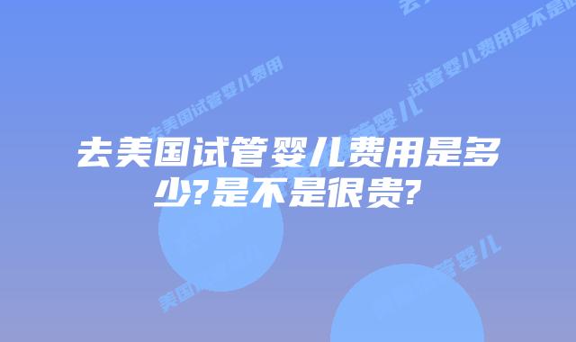 去美国试管婴儿费用是多少?是不是很贵?