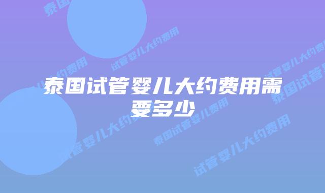 泰国试管婴儿大约费用需要多少