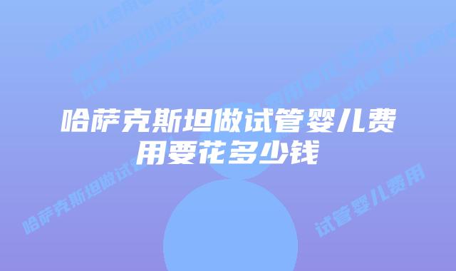 哈萨克斯坦做试管婴儿费用要花多少钱