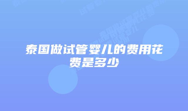 泰国做试管婴儿的费用花费是多少