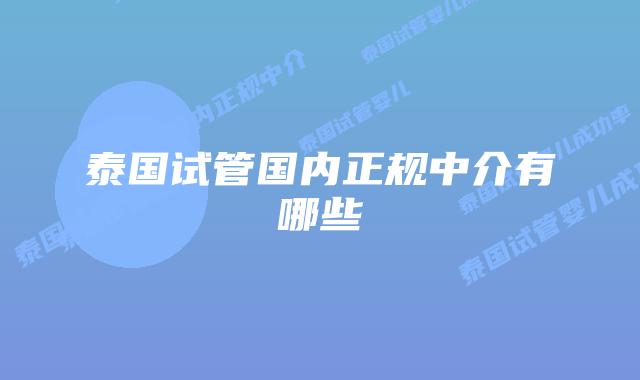 泰国试管国内正规中介有哪些