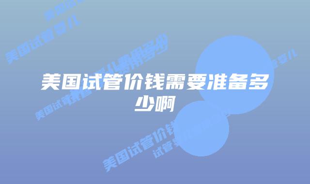 美国试管价钱需要准备多少啊