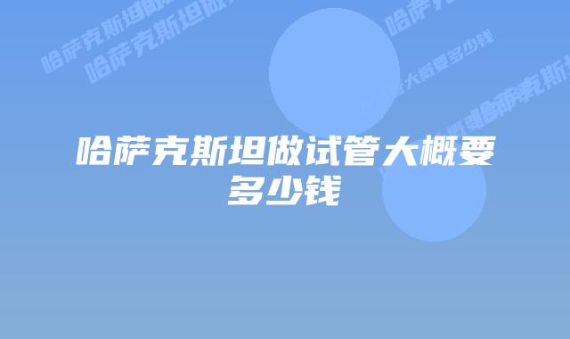 哈萨克斯坦做试管大概要多少钱