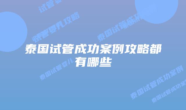泰国试管成功案例攻略都有哪些