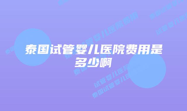 泰国试管婴儿医院费用是多少啊