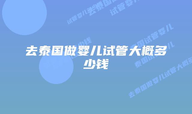 去泰国做婴儿试管大概多少钱