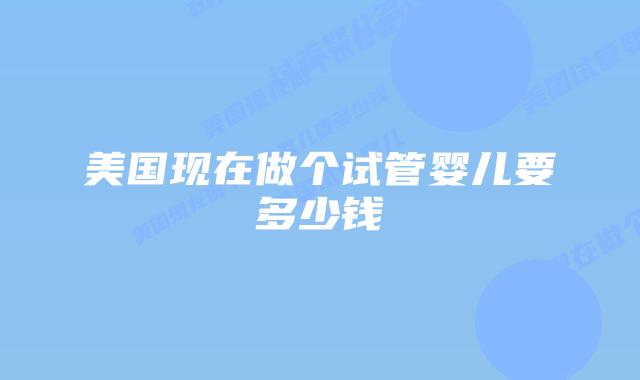 美国现在做个试管婴儿要多少钱