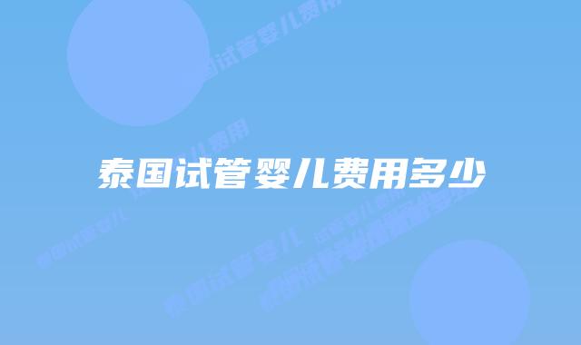 泰国试管婴儿费用多少