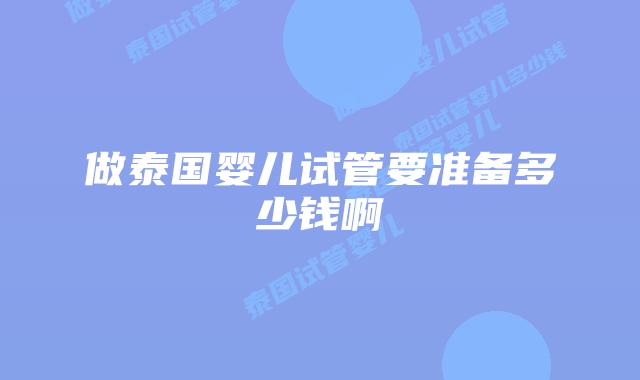 做泰国婴儿试管要准备多少钱啊