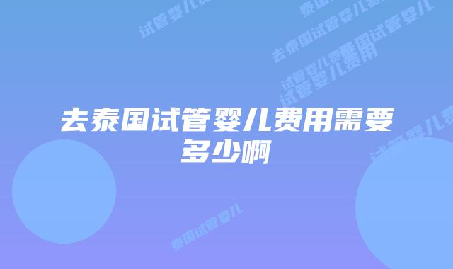 去泰国试管婴儿费用需要多少啊