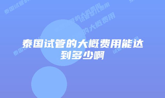 泰国试管的大概费用能达到多少啊