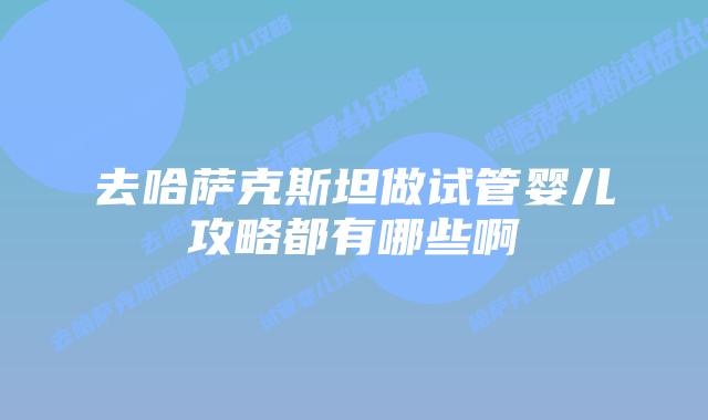 去哈萨克斯坦做试管婴儿攻略都有哪些啊