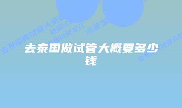 去泰国做试管大概要多少钱