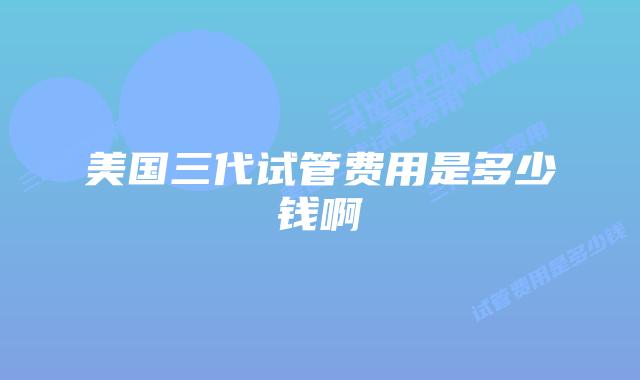 美国三代试管费用是多少钱啊