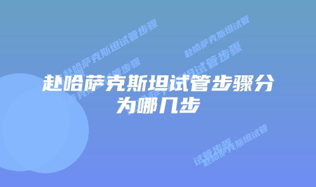 赴哈萨克斯坦试管步骤分为哪几步