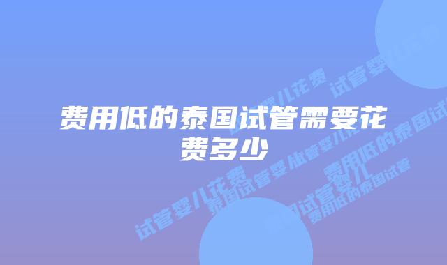 费用低的泰国试管需要花费多少