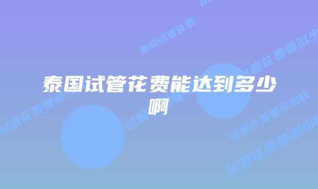 泰国试管花费能达到多少啊
