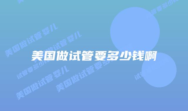 美国做试管要多少钱啊