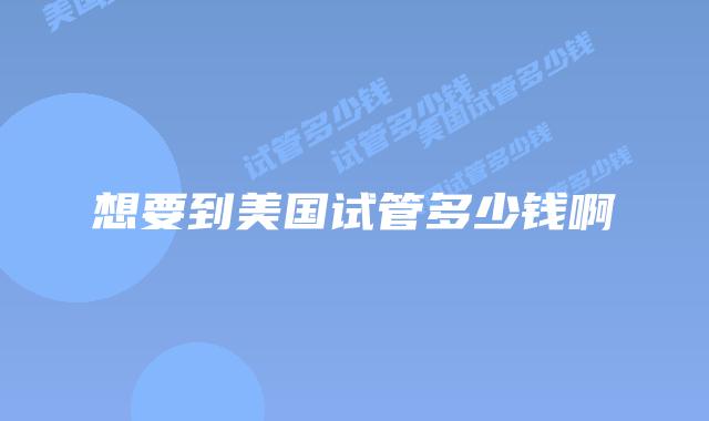 想要到美国试管多少钱啊